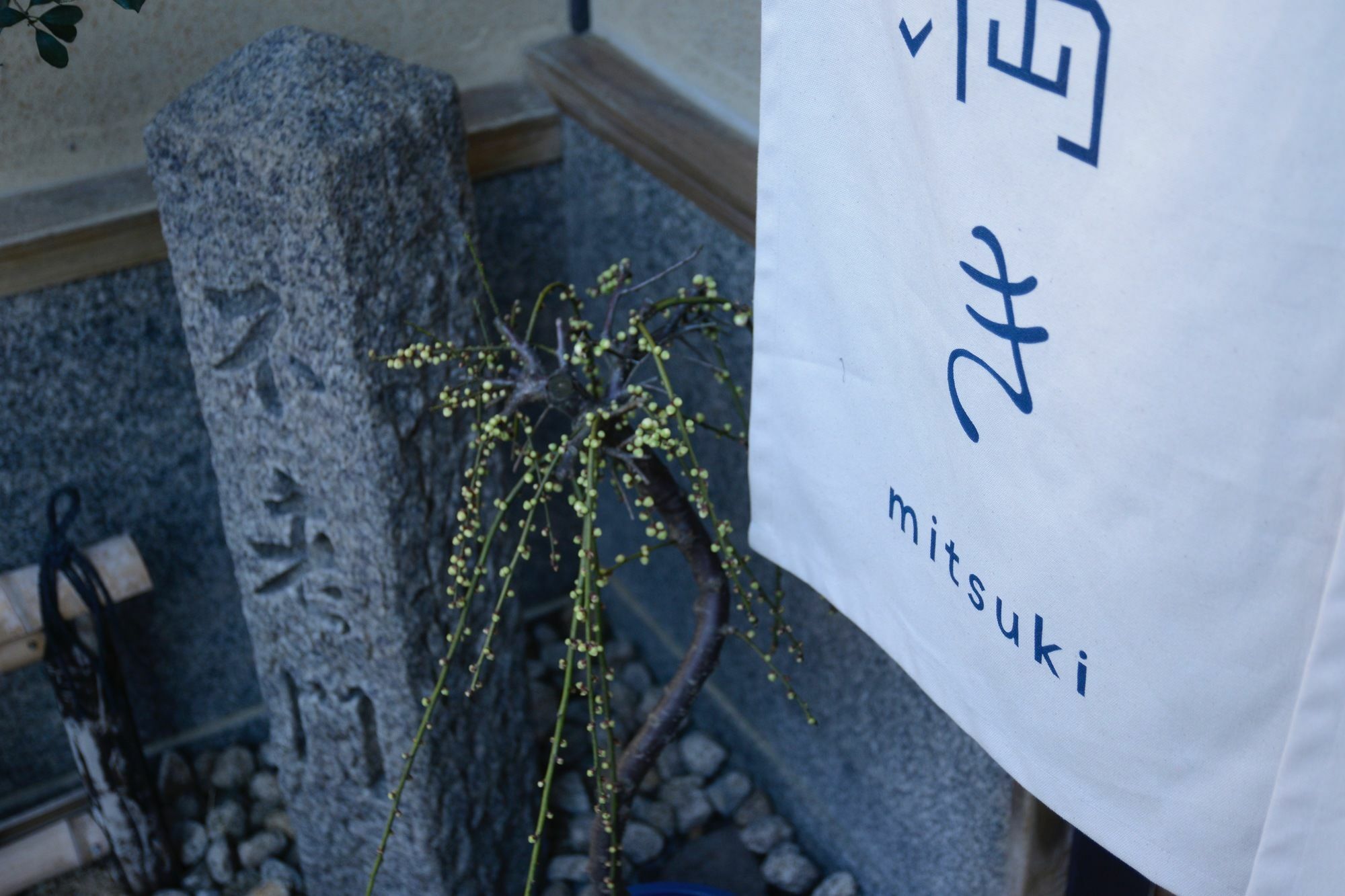 京都满月住宿加早餐旅馆 外观 照片